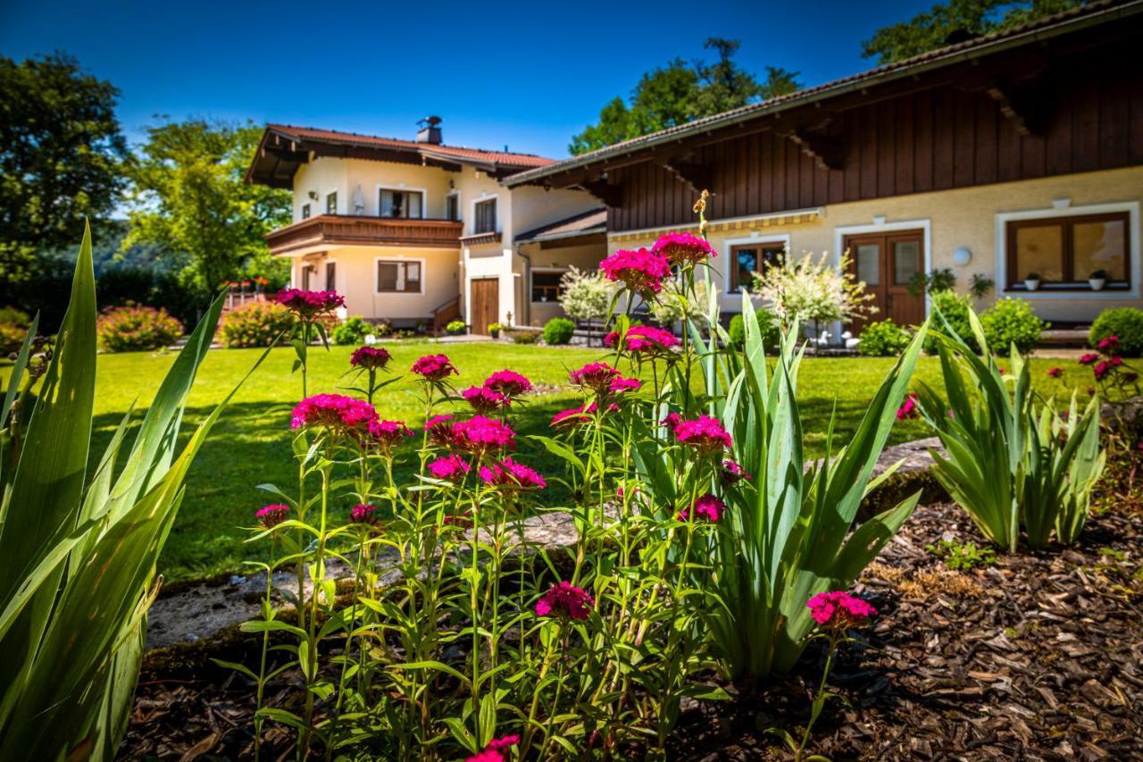 Ferienwohnung Wallmerhof Am Laendlichen Wimberg アードネット エクステリア 写真