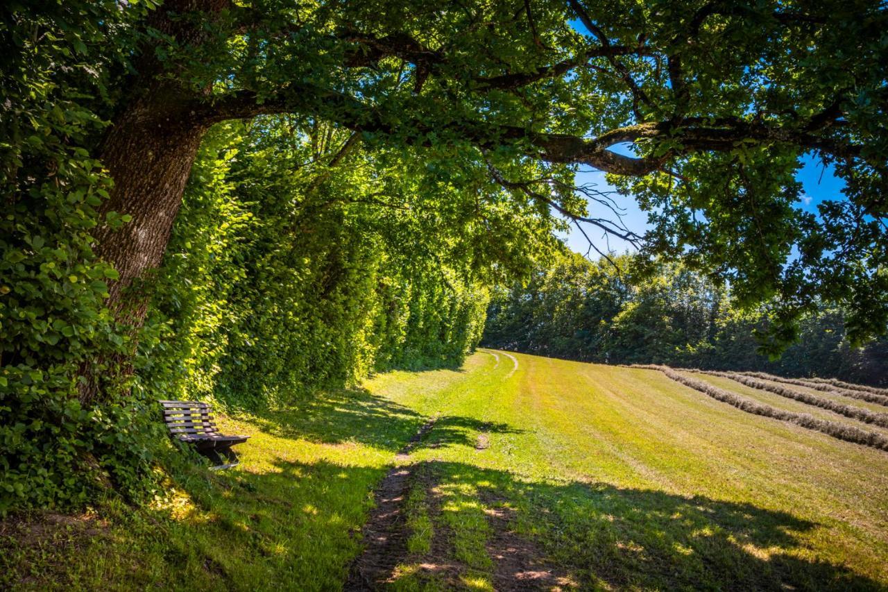 Ferienwohnung Wallmerhof Am Laendlichen Wimberg アードネット エクステリア 写真